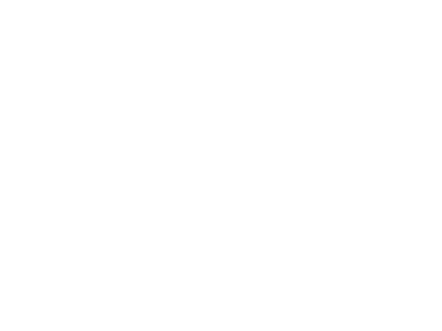 andis-logo