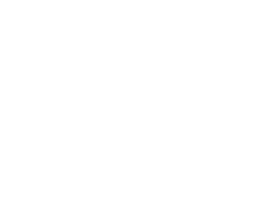 babyliss-pro-logo
