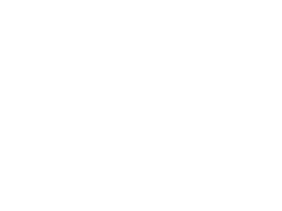 gamma-piu-logo