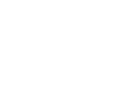 wahl-logo